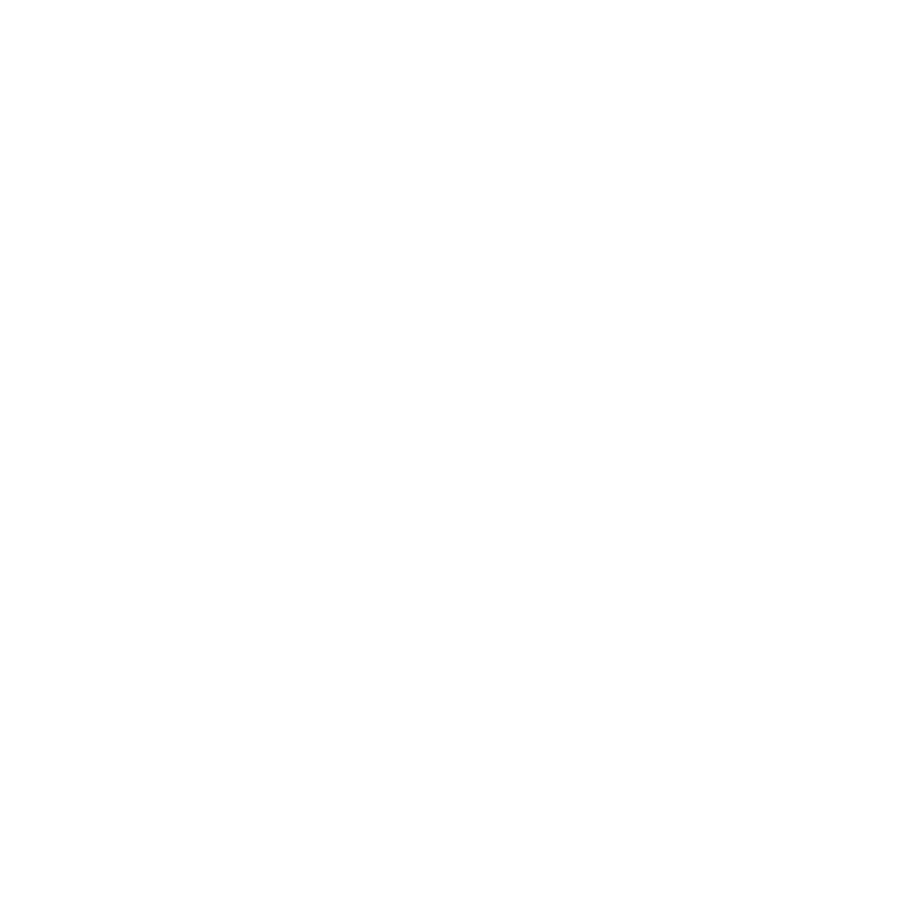 feature-item-12