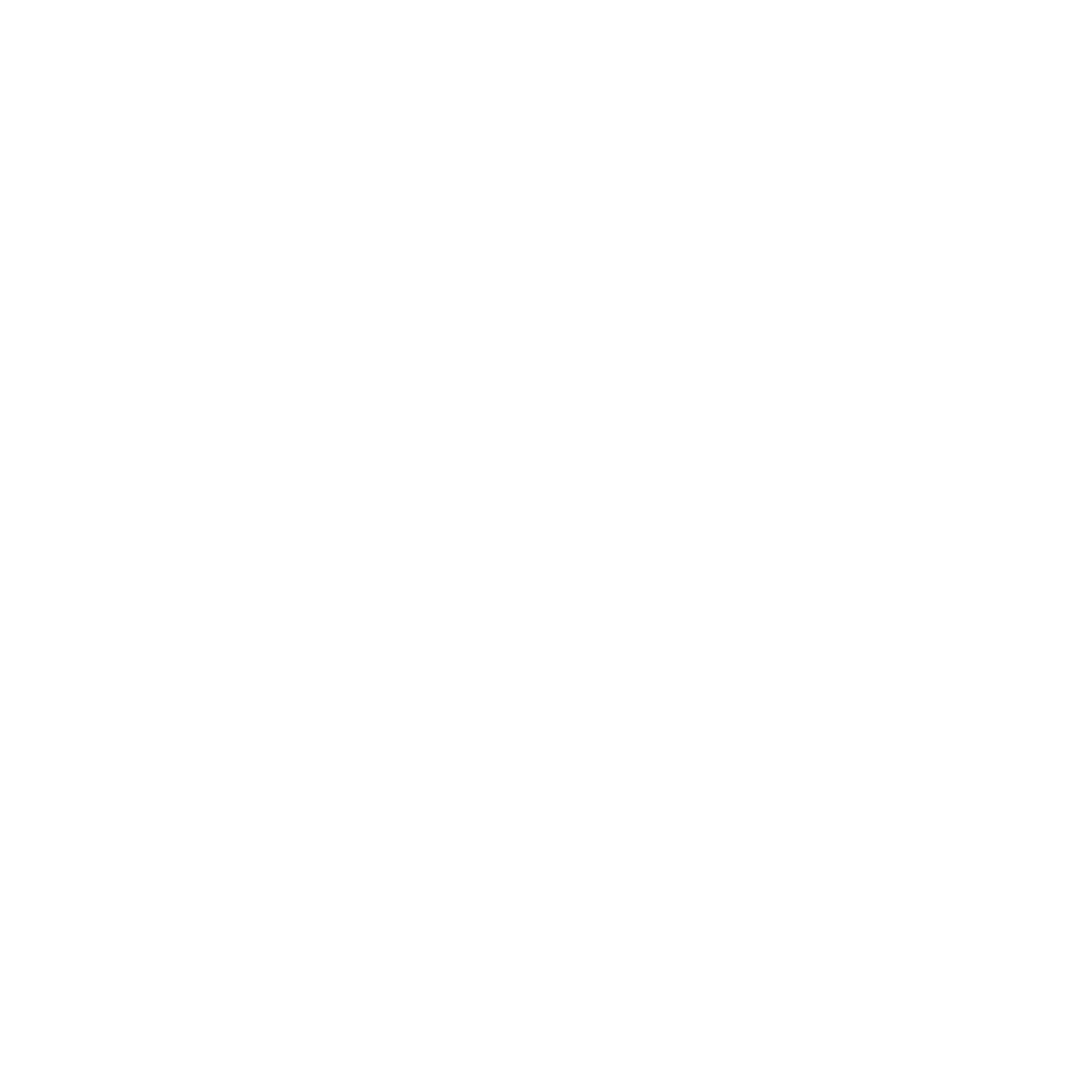 feature-item-13